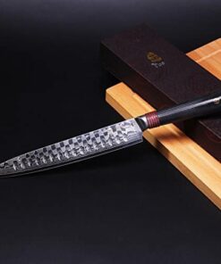 Tuo Cutlery 9 inch Slicing Carving Knife Japanese AUS 10D Damascus Steel Meat Knife with Ergonomic G10 Handle RING D Series