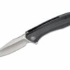 CIVIVI Knives C801D Backlash Flipper Knife