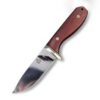 QSP QS114 ERISED FIXED BLADE KNIFE ROSE WOOD HANDLE