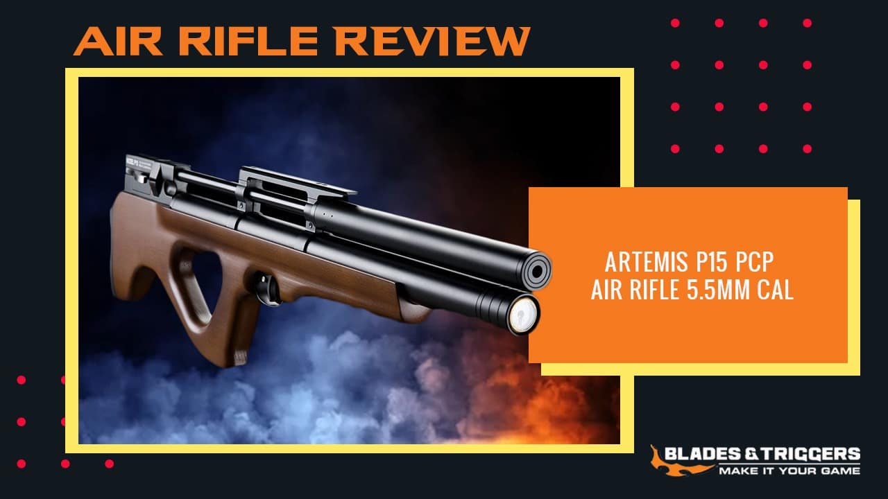 Artemis P15 Pcp Air Rifle 5.5mm Unboxing and Review