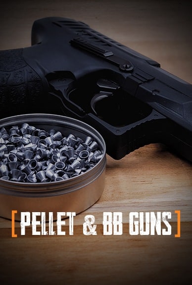 Pellet && BB Guns