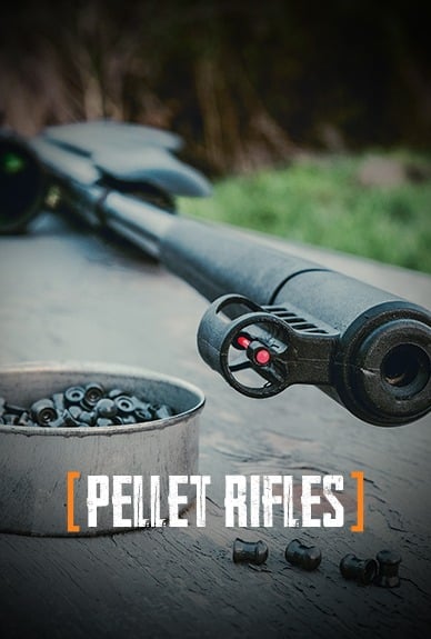 Pellet && BB Guns